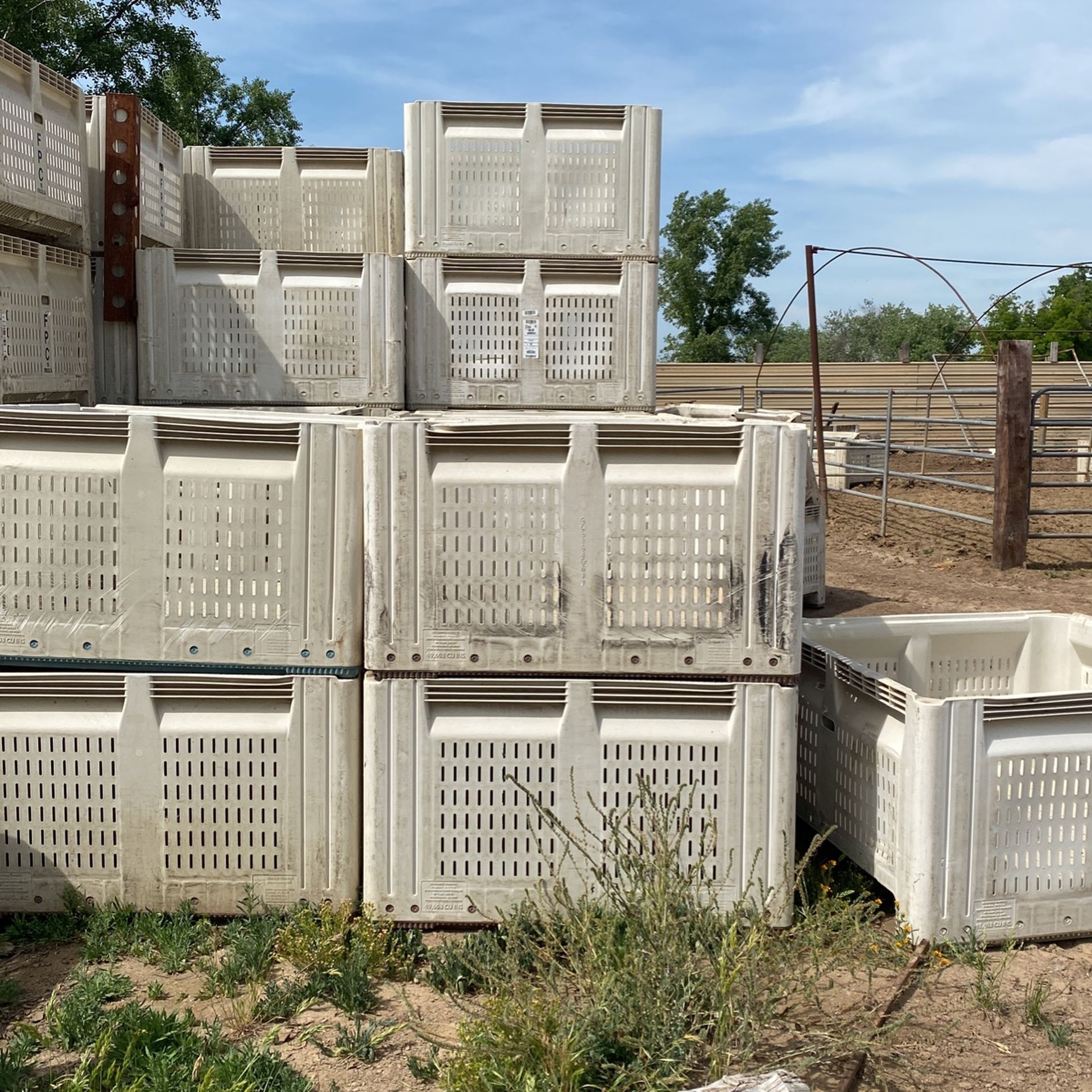 Fruit Bins