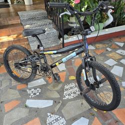 Buena Vista Freestyle BMX Bike 