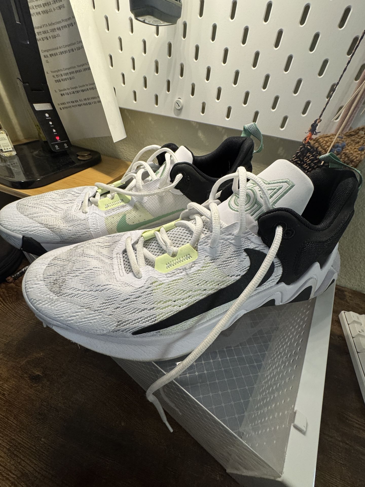 Nike Basketball shoes 