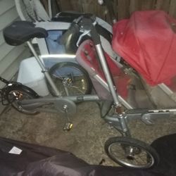 Taga Family Cargo Bike