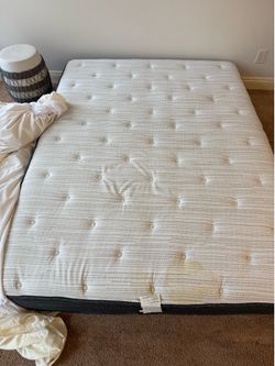 Free queen size mattress
