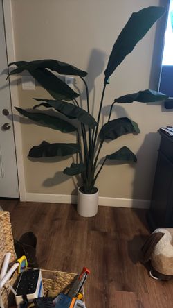 Home decoration