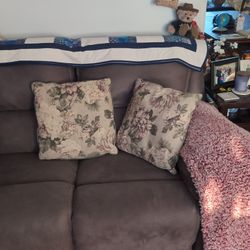 Two Sofa Pillows