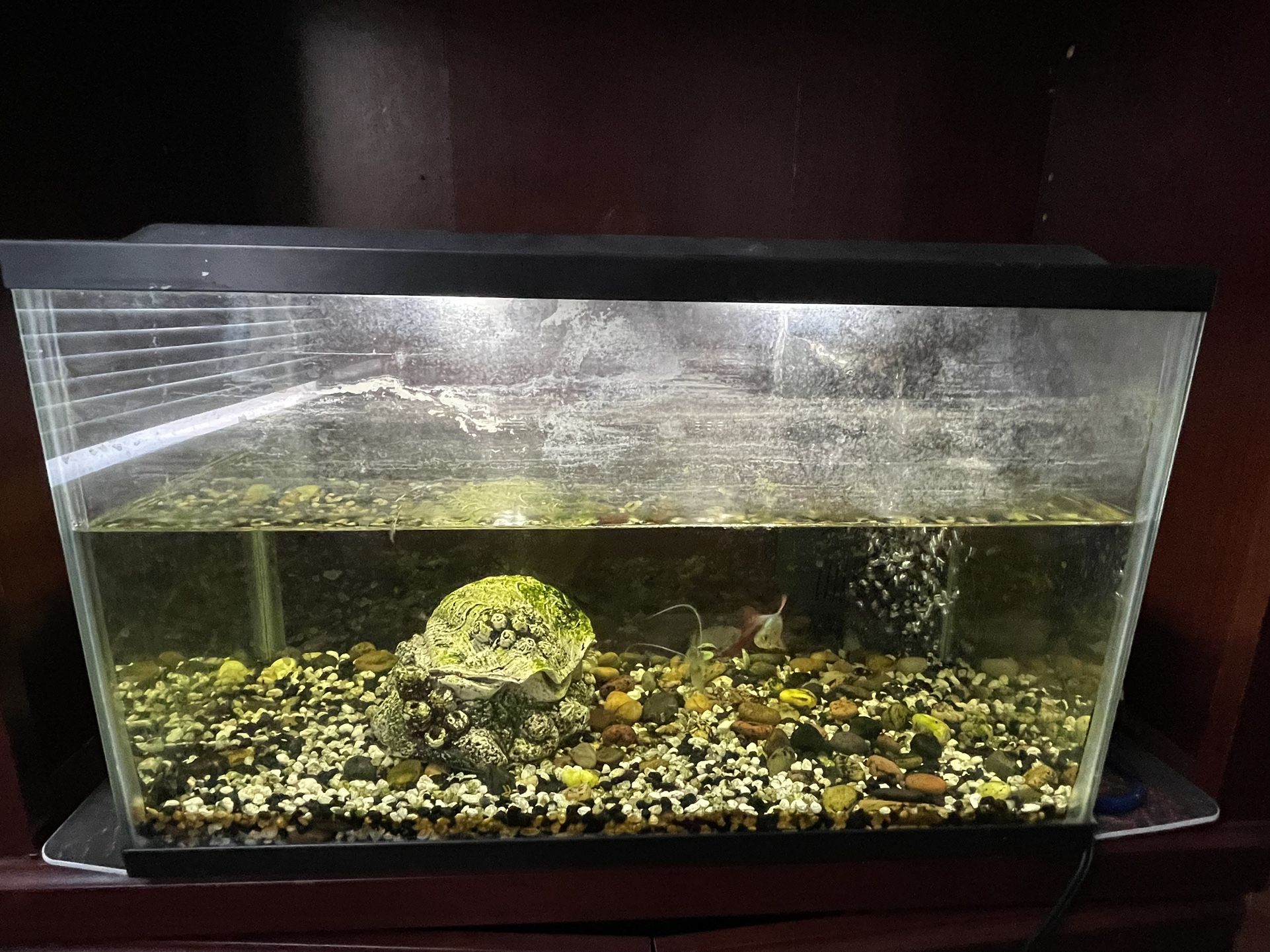 rehoming fish tank and selling shelving unit