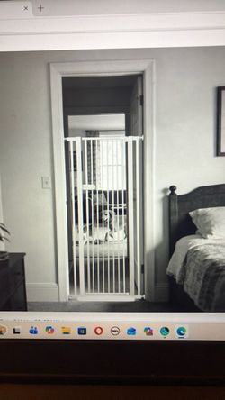 CAT Gate Tall $20. OBO