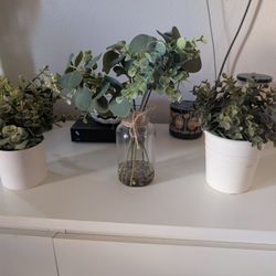 3 PLANTS DECOR