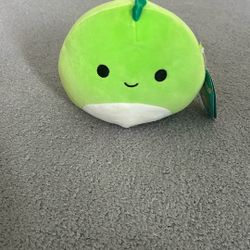 Dinosaur Squishmallow
