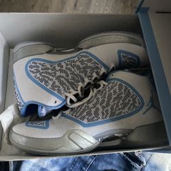 Air Jordan 29 'Pantone'