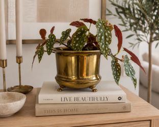 Vintage English Solid Brass Lion Handle Footed Cachepot Planter Mid Century Jardinière