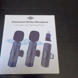 Mini microphone