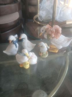 5 duck collection