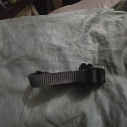 Dog Collar 