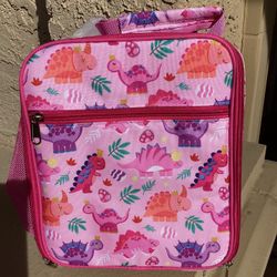 Insulated Lunch Bag  Brand New