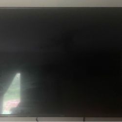65” Vizio TV