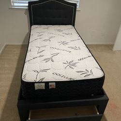 Twin Storage New Bed With Mattress 