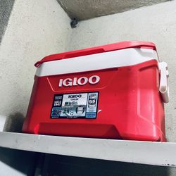 Igloo Cooler 