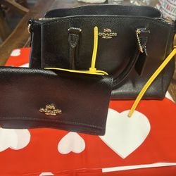 Coach Bag & Matching Wallet