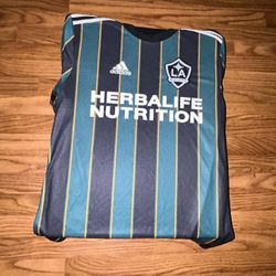 LA Galaxy 2021 Community Kit Away Jersey - Official Adidas - Youth XL / 15-16Y - MINT
