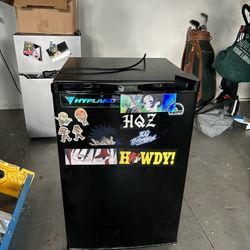 Mini Fridge 
