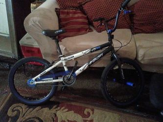Bike boys