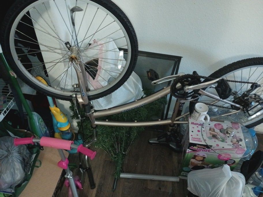 Cruiser Bike