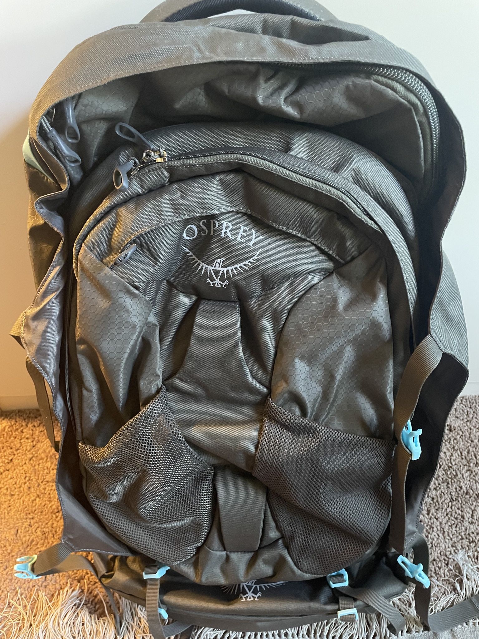 Osprey Travel Backpack