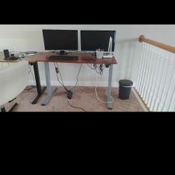 Electric Adjustable Desk 