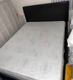 Queen size head board + bed frame