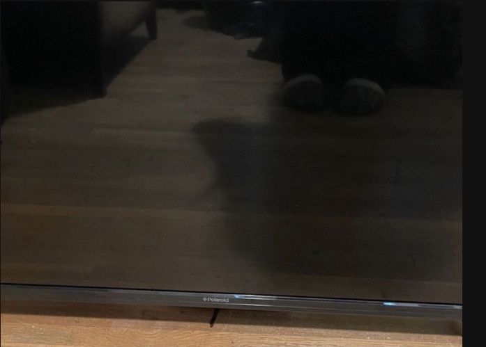 Polaroid Tv with Remote