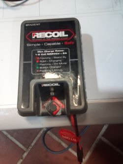 Radient Recoil NiCd/NiMH AC Peak Detection Charger