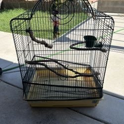 Bird Cage
