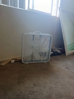 Brand new fan 20 bucks