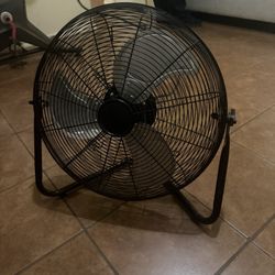 Fan 