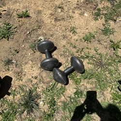  (2x) 11lbs Dumbbells
