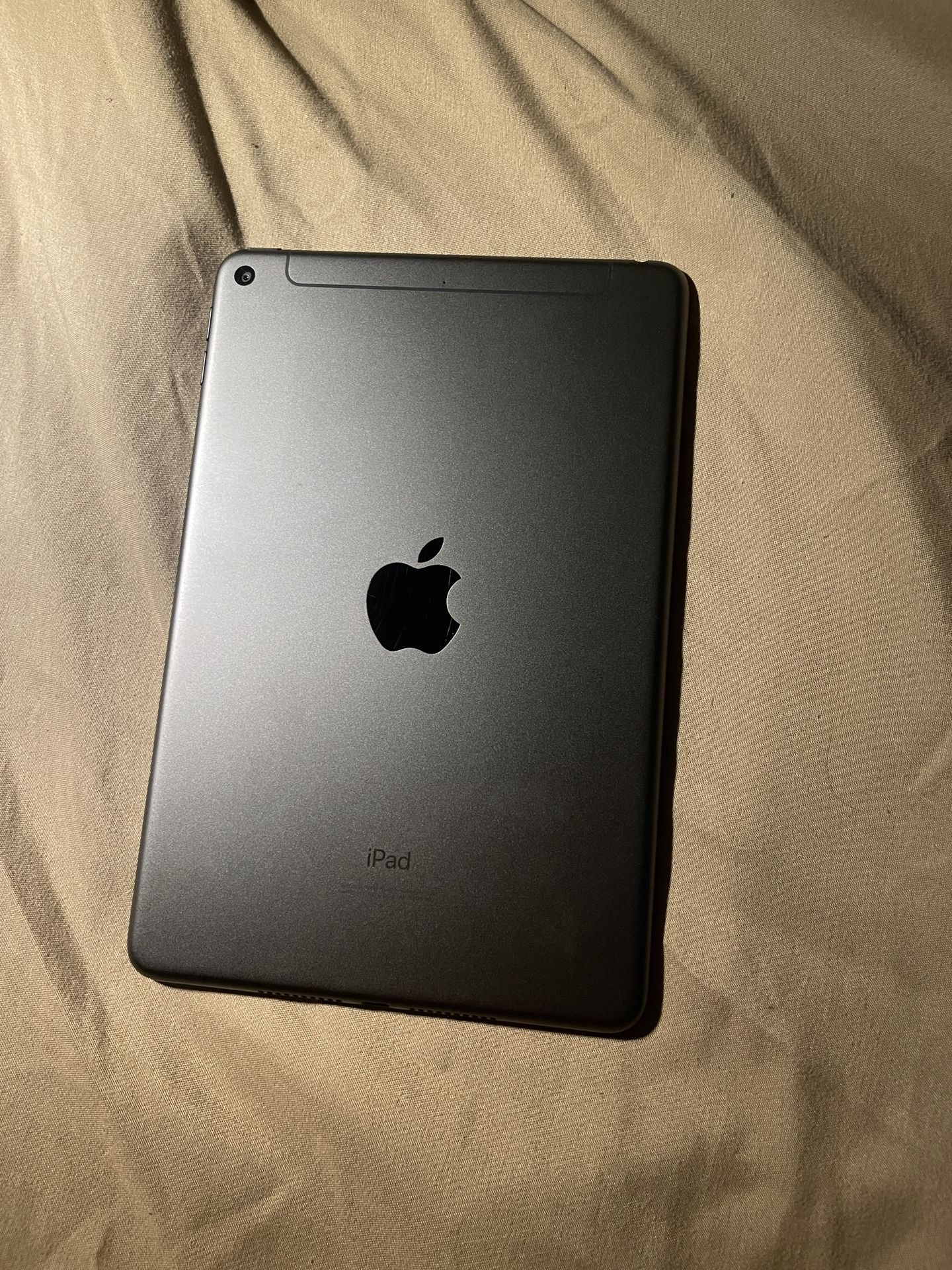 iPad mini 5 (256gb WI-FI & cellular)