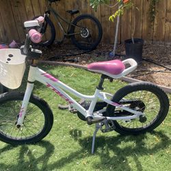 Kids Bike Trek