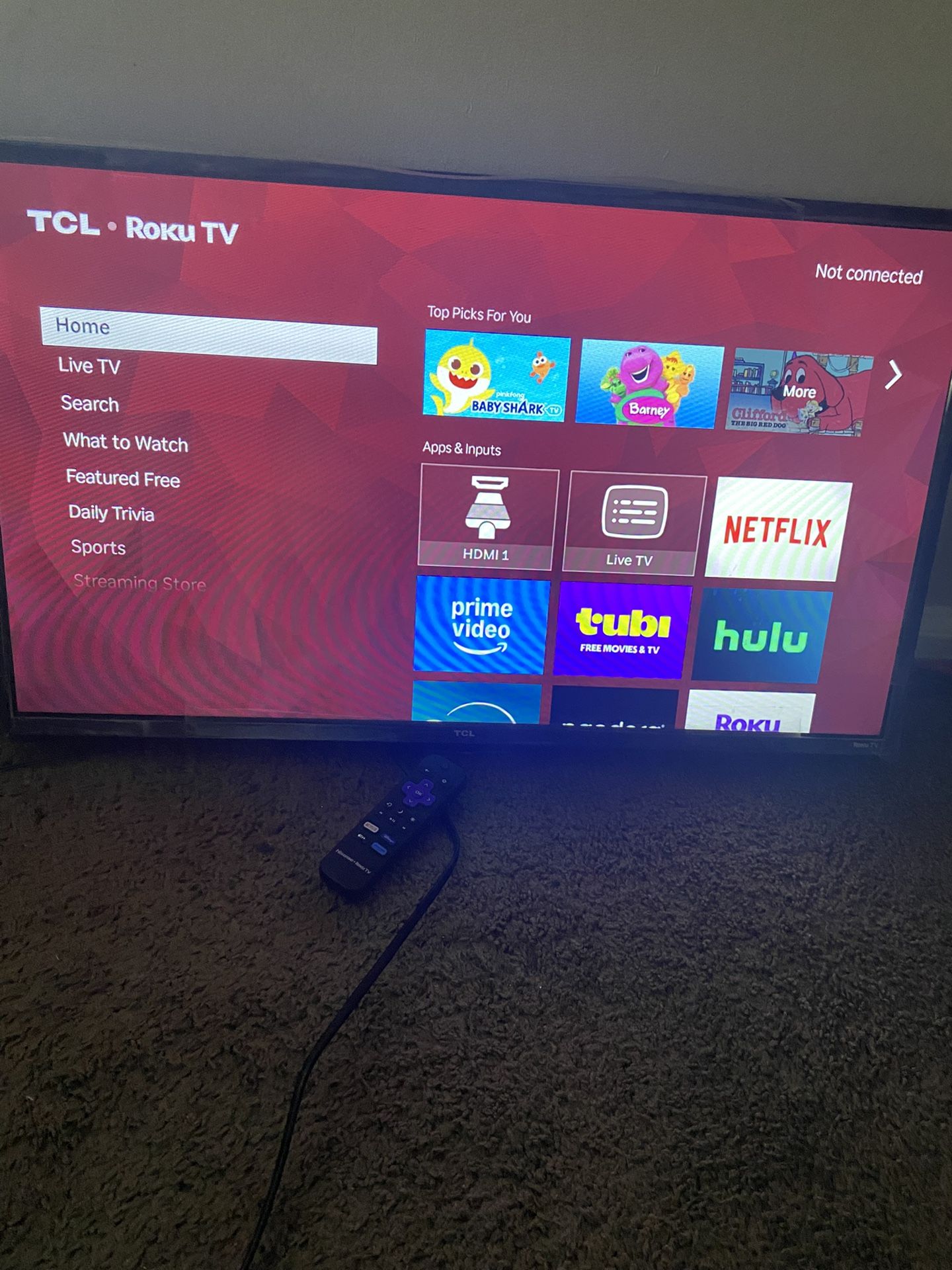 43 Inch Roku Tv