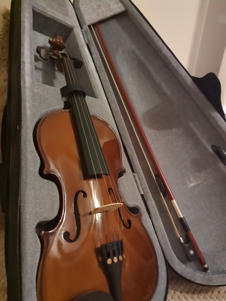 Violin