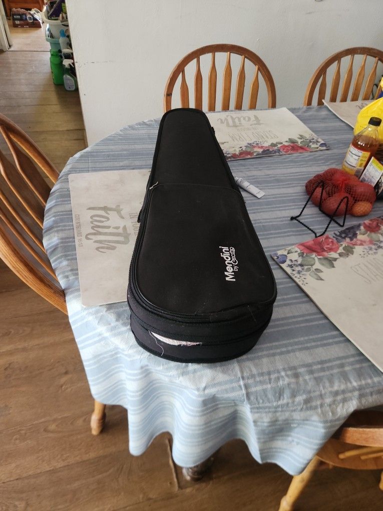 Violin Size 3/4 