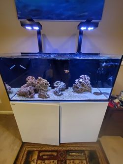 Red sea red reefer 350
