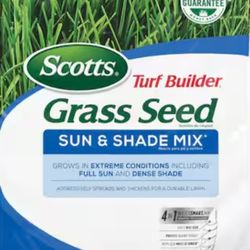 Grass Seeds