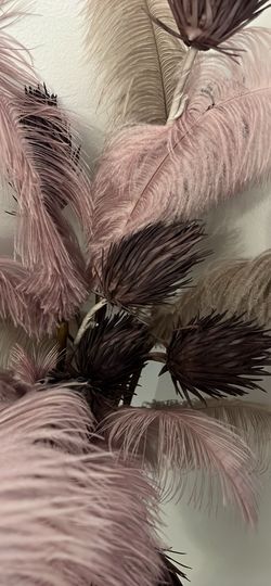Z Gallerie Blush Pink Ostrich Feather Floor Arrangement