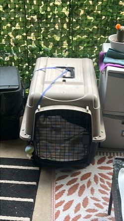 Pet Kennel