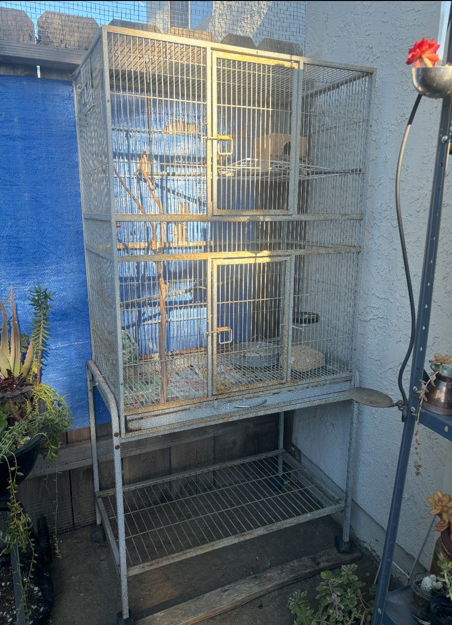 Bird Cage /jaula