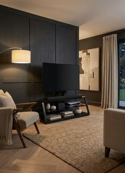 Sleek Black TV Stand w/ Storage Shelves