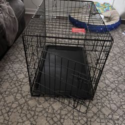 Animal Cage