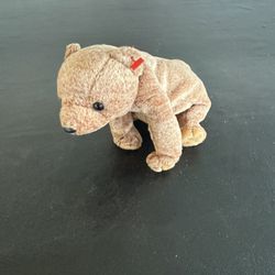 TY Beanie Baby Bear Named Pecan Missing Tag 