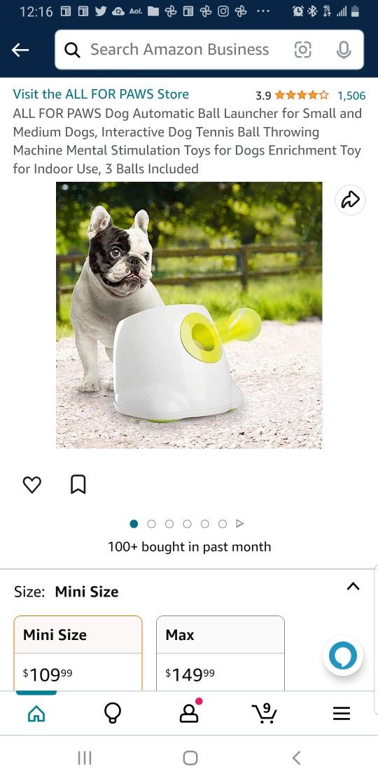 Dog Toy