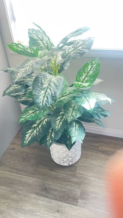 Replica plant
