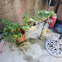 Metal Bicycle Plant Stand